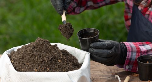 Фото: пресс-служба ФГБУ «ЦОК АПК»